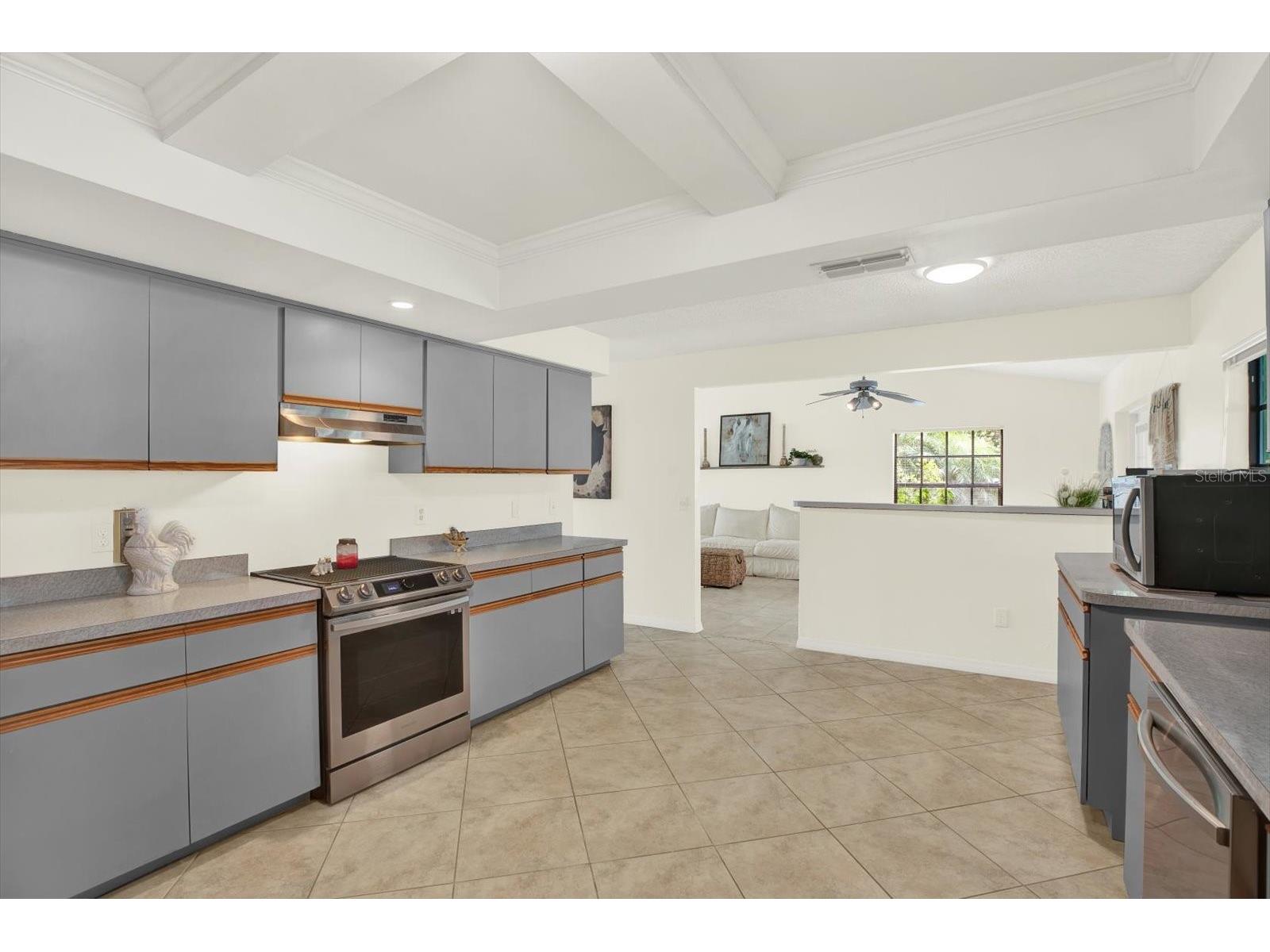 11419 Donneymoor Drive Riverview FL 33569 A4687733 image13