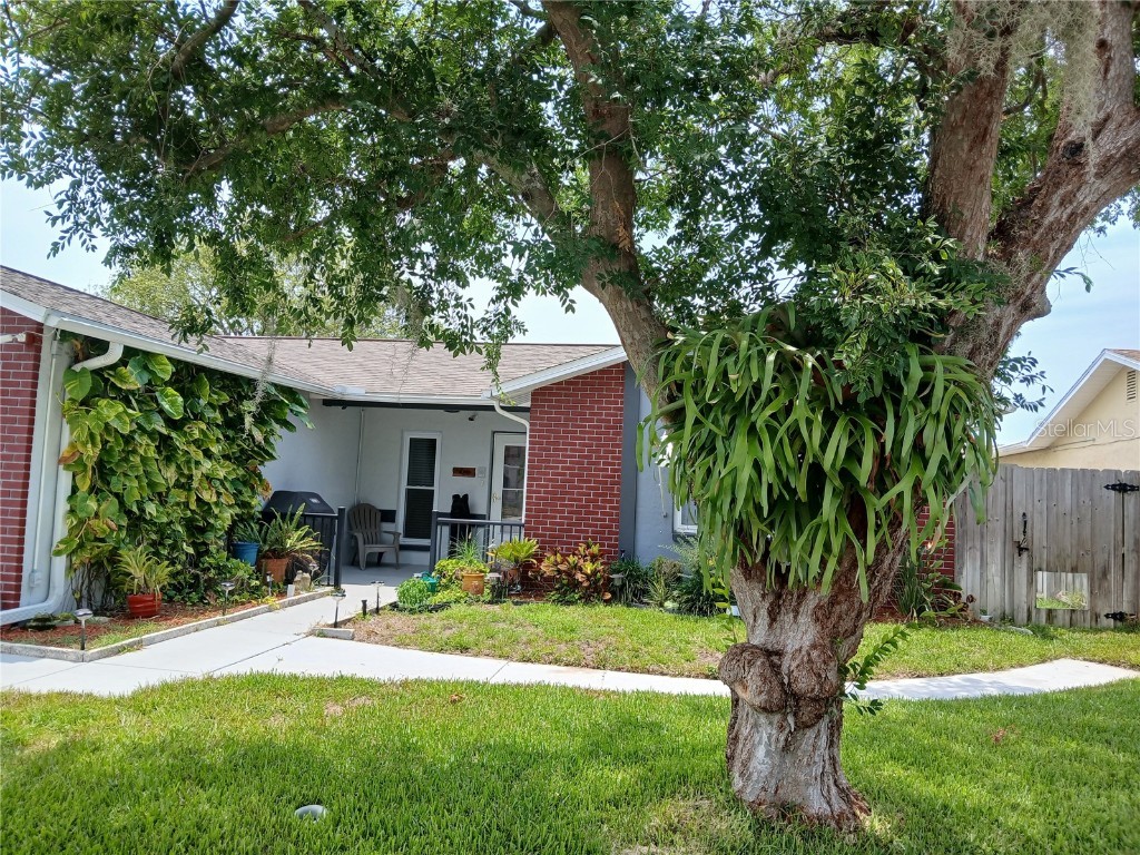 11419 Fox Run Port Richey FL 34668 U8243059 image1