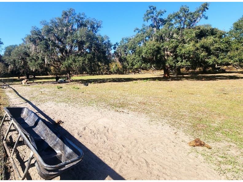 11419 Old Crystal River Road Brooksville FL 34601 TB8451149 image19