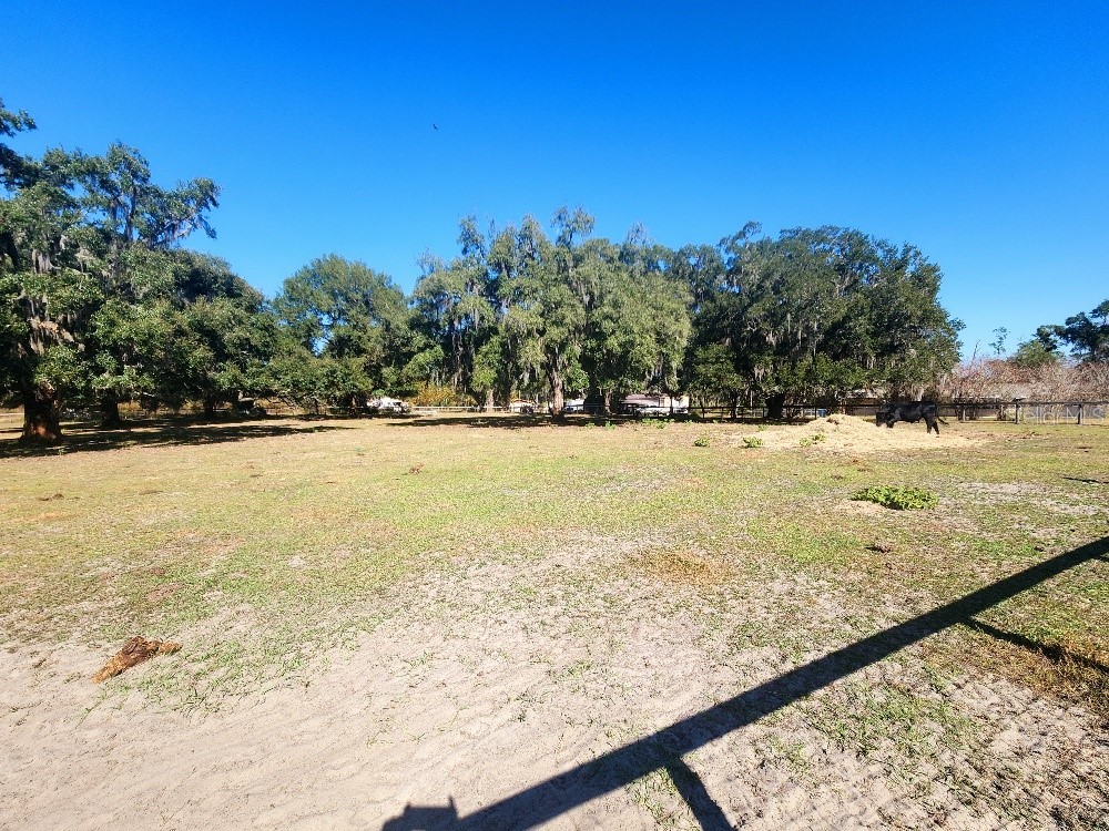 11419 Old Crystal River Road Brooksville FL 34601 TB8451149 image71