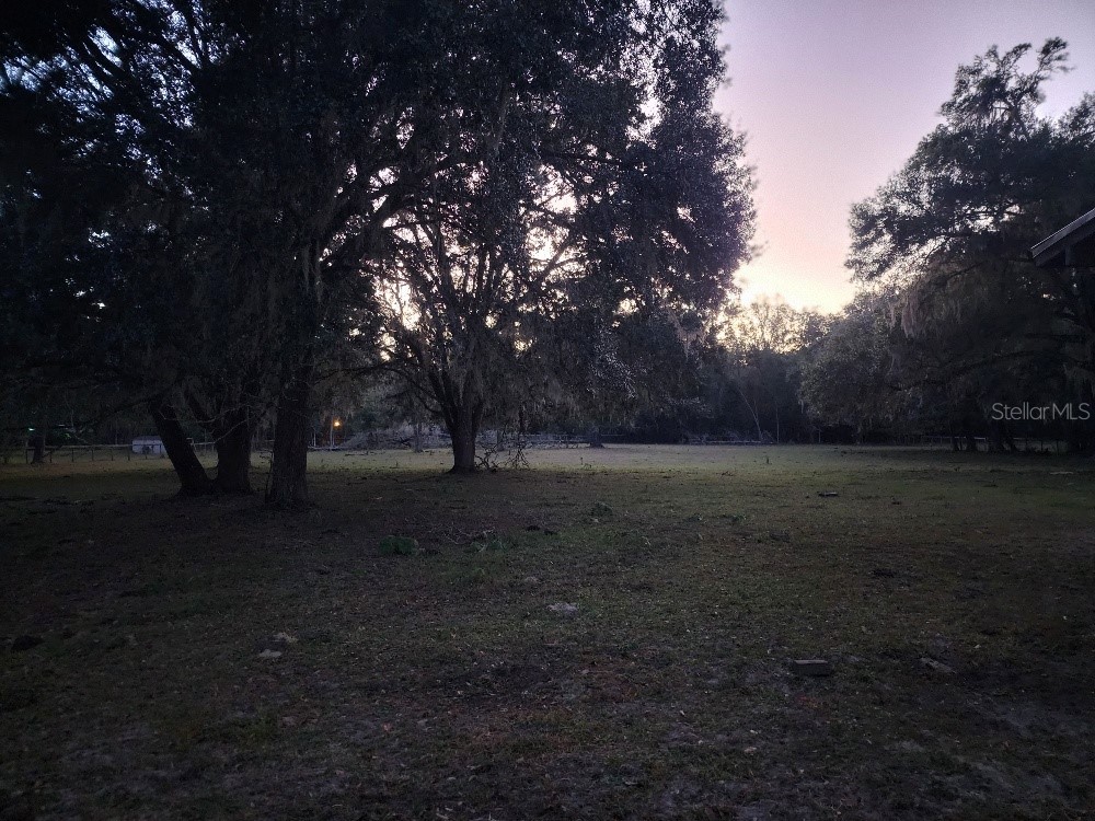 11419 Old Crystal River Road Brooksville FL 34601 TB8451149 image81