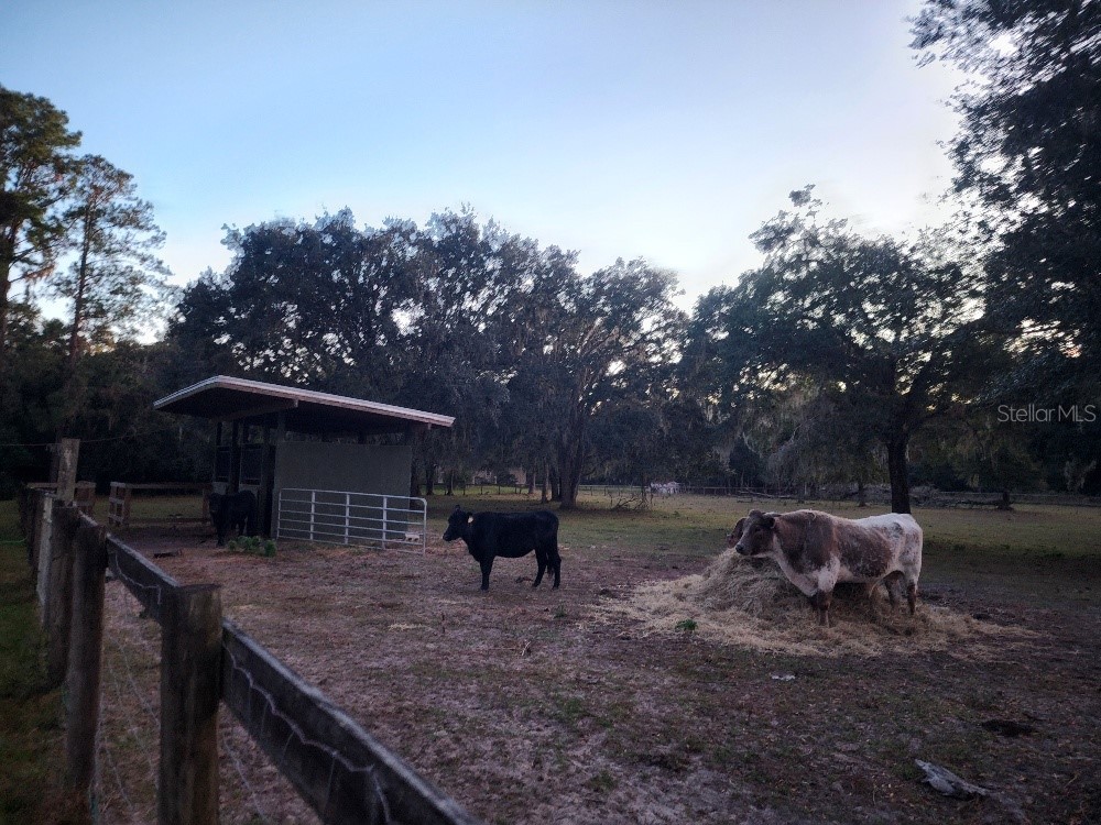 11419 Old Crystal River Road Brooksville FL 34601 TB8451149 image83