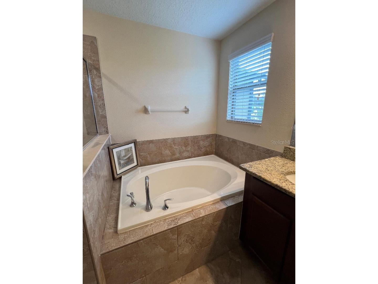 1142 Ballard Green Place Brandon FL 33511 TB8519243 image17