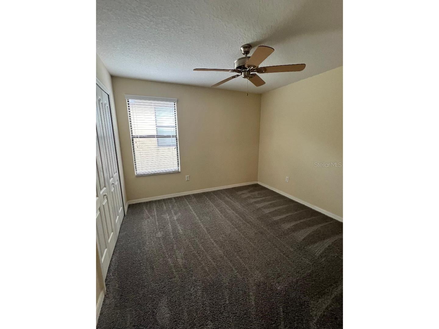 1142 Ballard Green Place Brandon FL 33511 TB8519243 image19