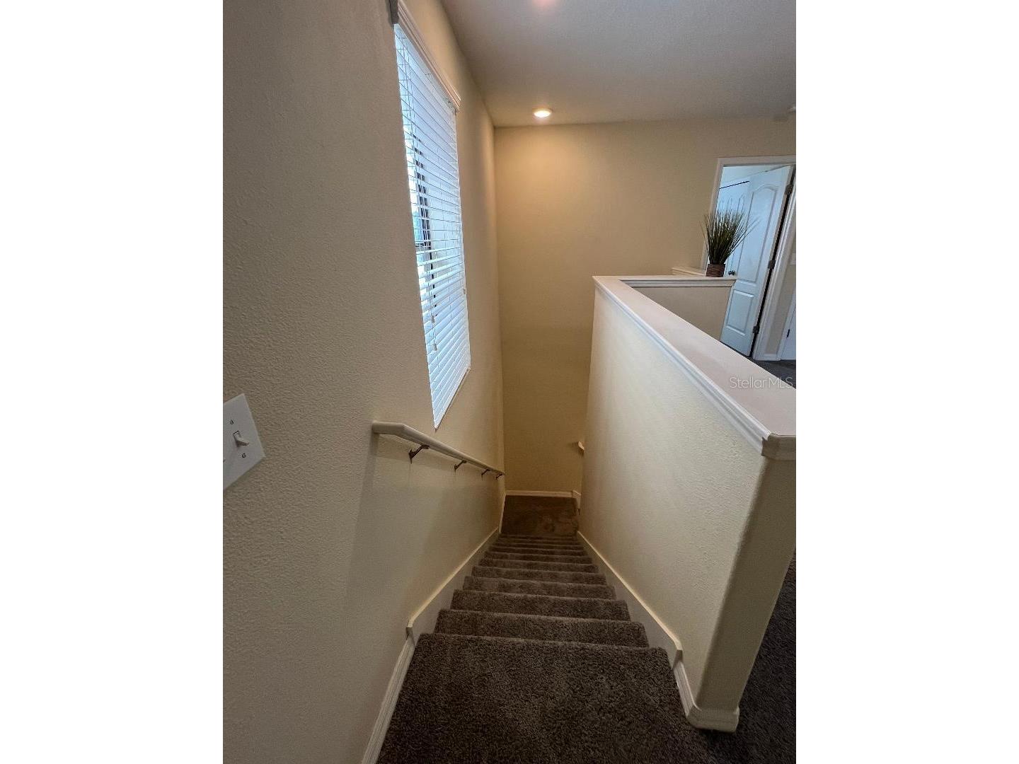 1142 Ballard Green Place Brandon FL 33511 TB8519243 image21