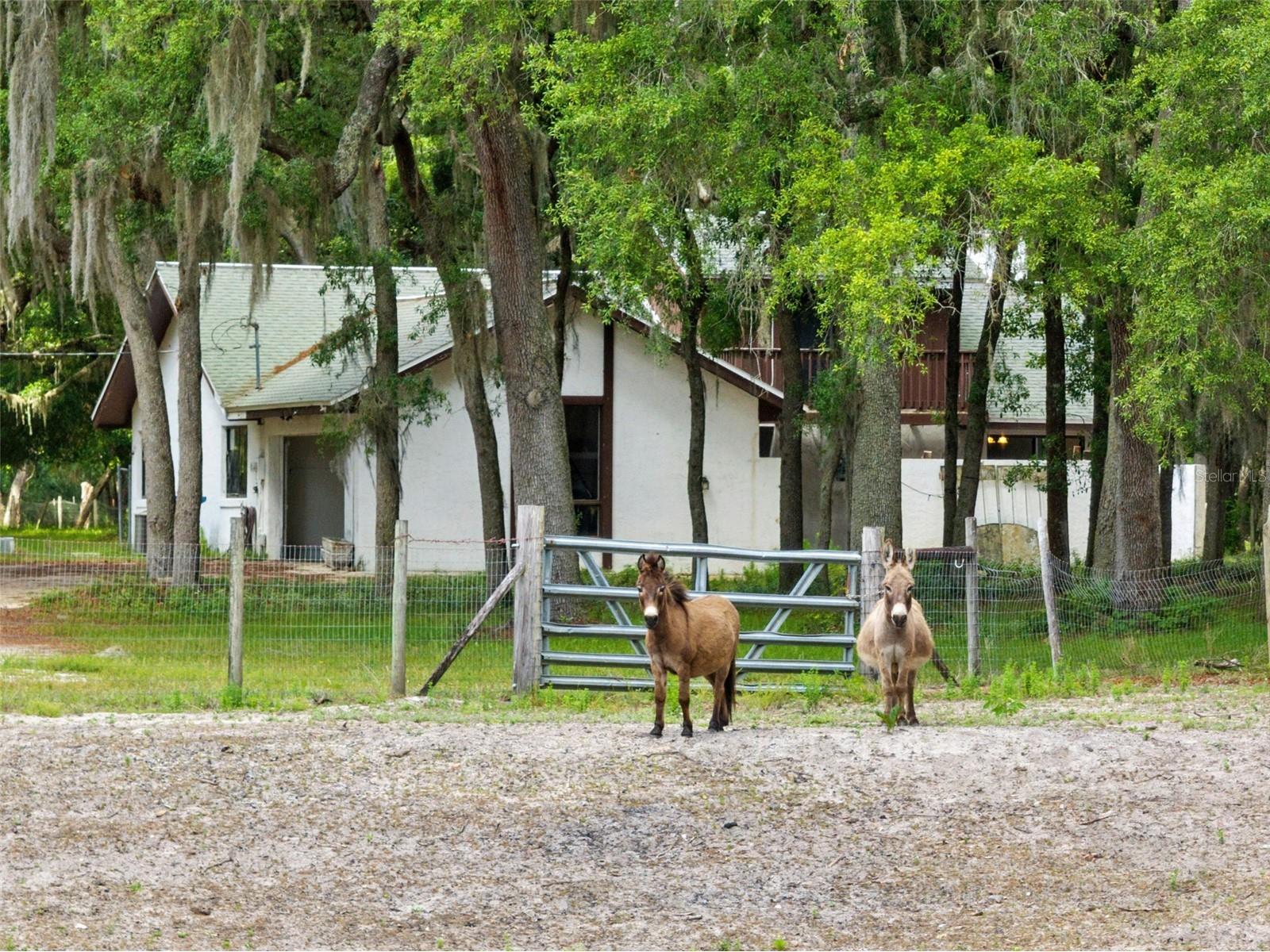 1142 Buckles Road Pierson FL 32180 V4948959 image28