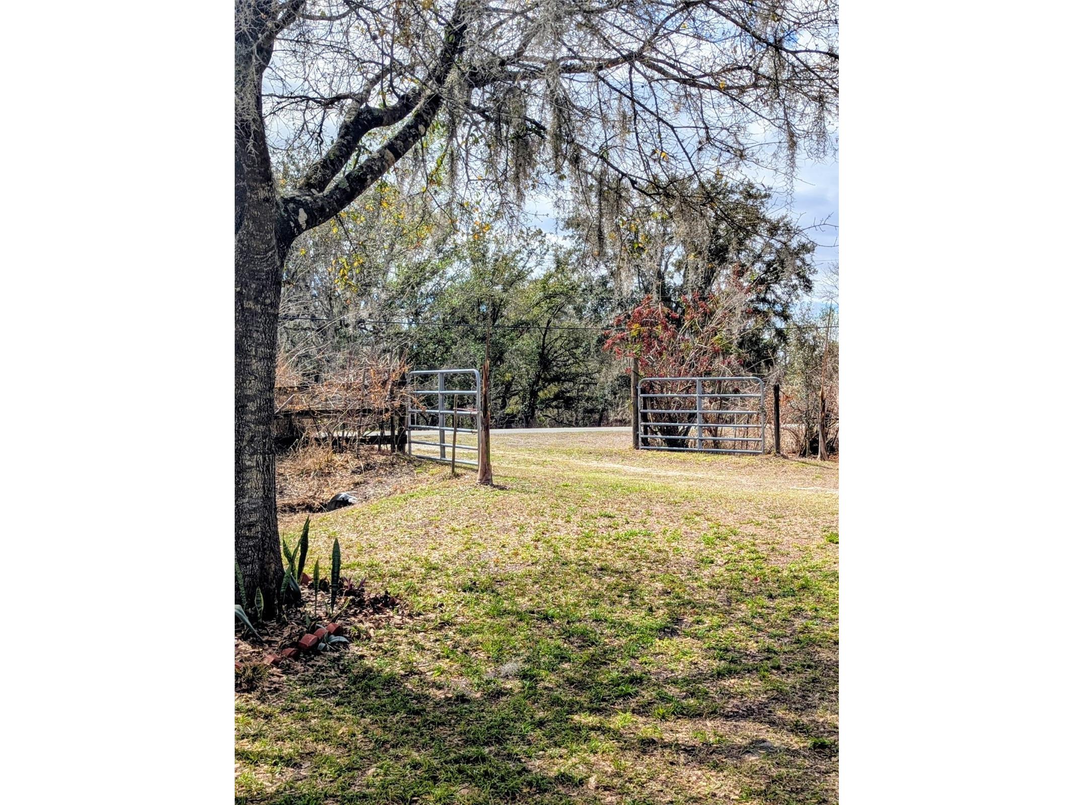 1142 Doc Coil Road Bowling Green FL 33834 TB8483190 image14
