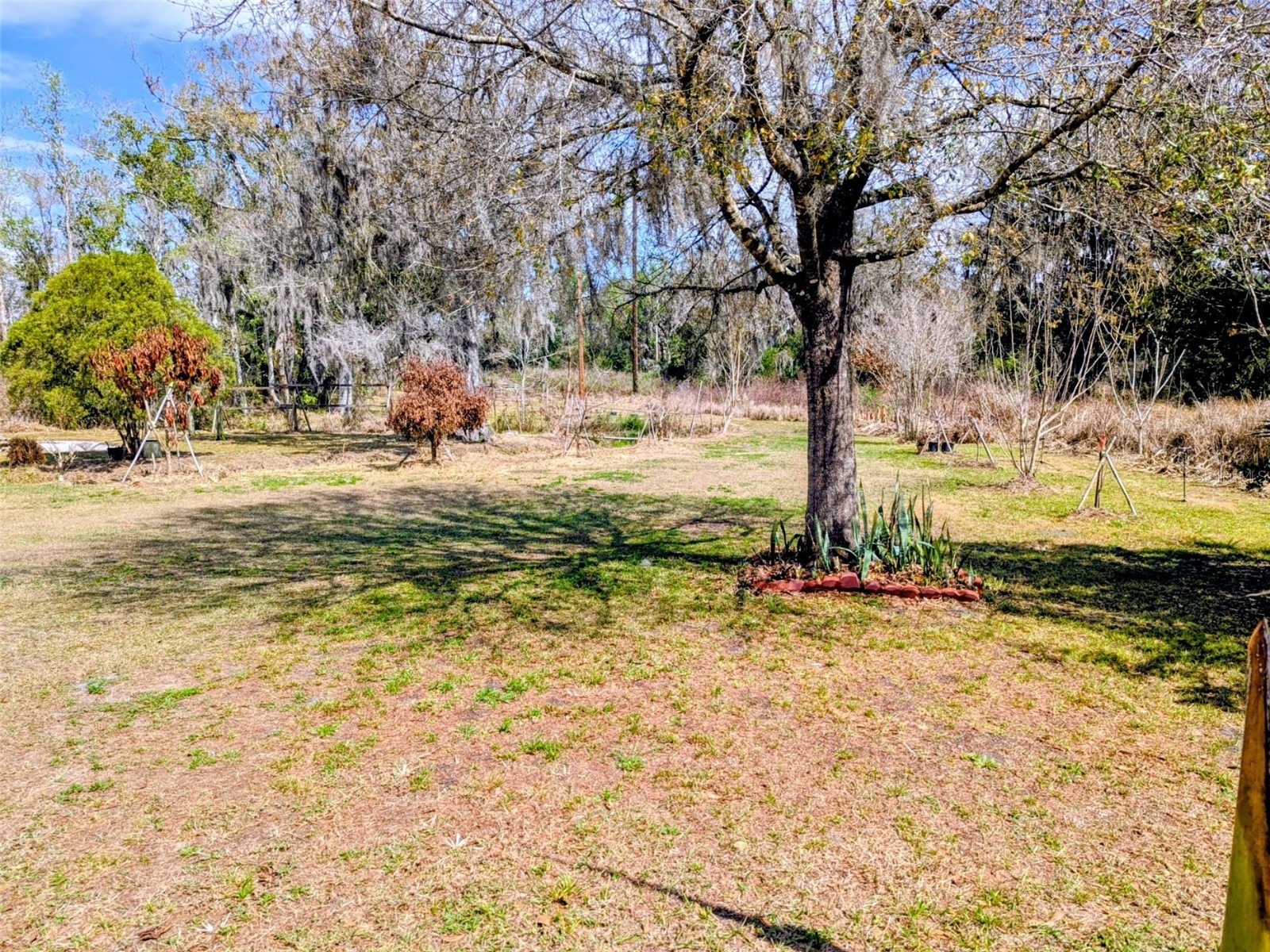 1142 Doc Coil Road Bowling Green FL 33834 TB8483190 image15