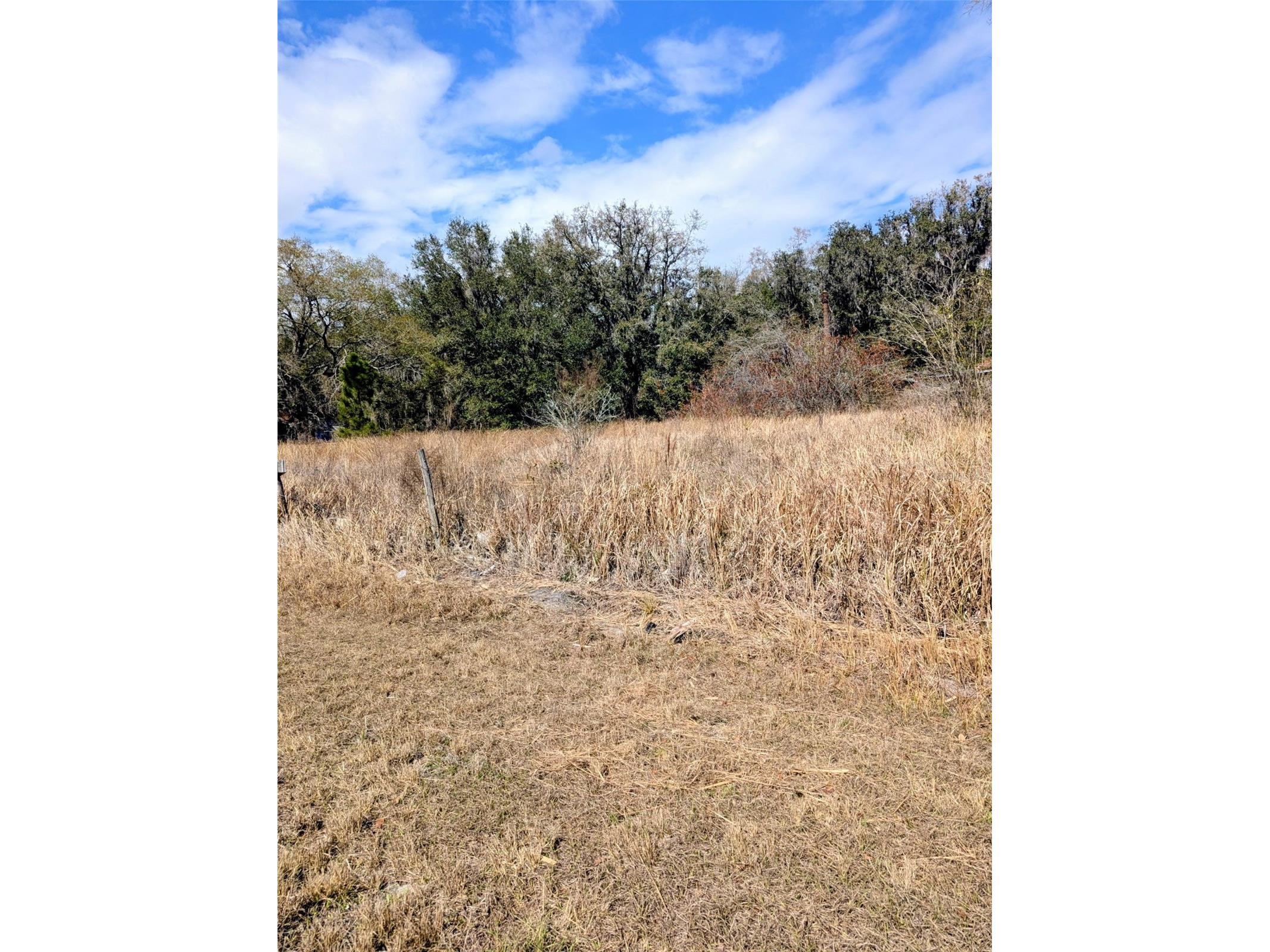 1142 Doc Coil Road Bowling Green FL 33834 TB8483190 image16