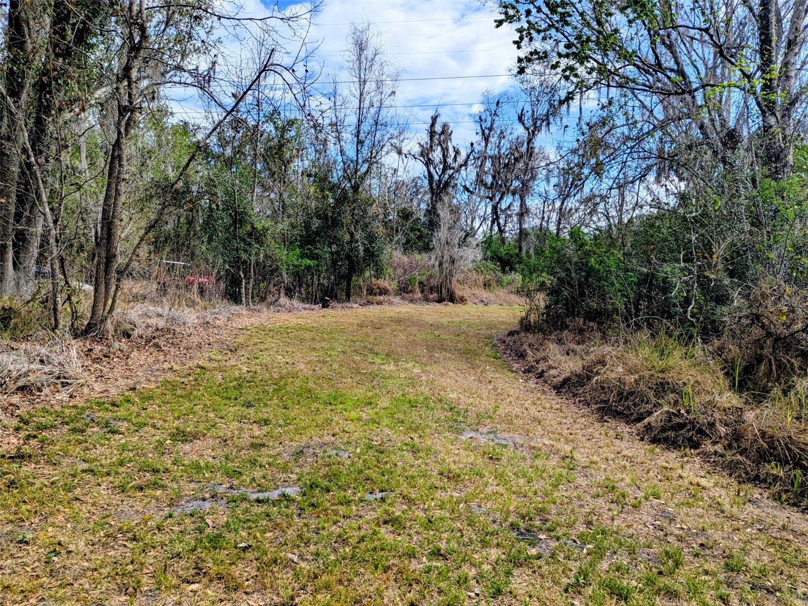 1142 Doc Coil Road Bowling Green FL 33834 TB8483190 image17
