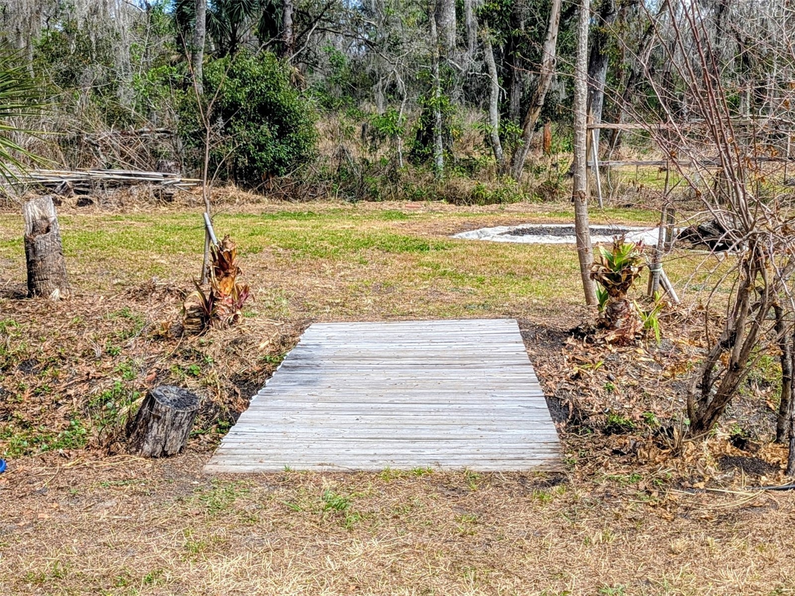1142 Doc Coil Road Bowling Green FL 33834 TB8483190 image18