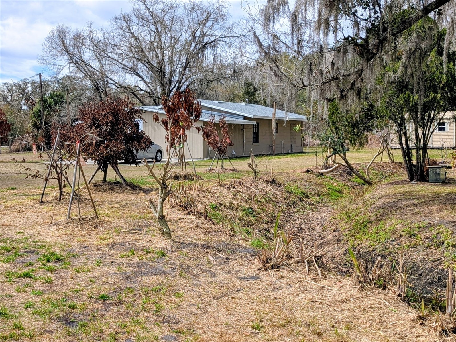 1142 Doc Coil Road Bowling Green FL 33834 TB8483190 image19