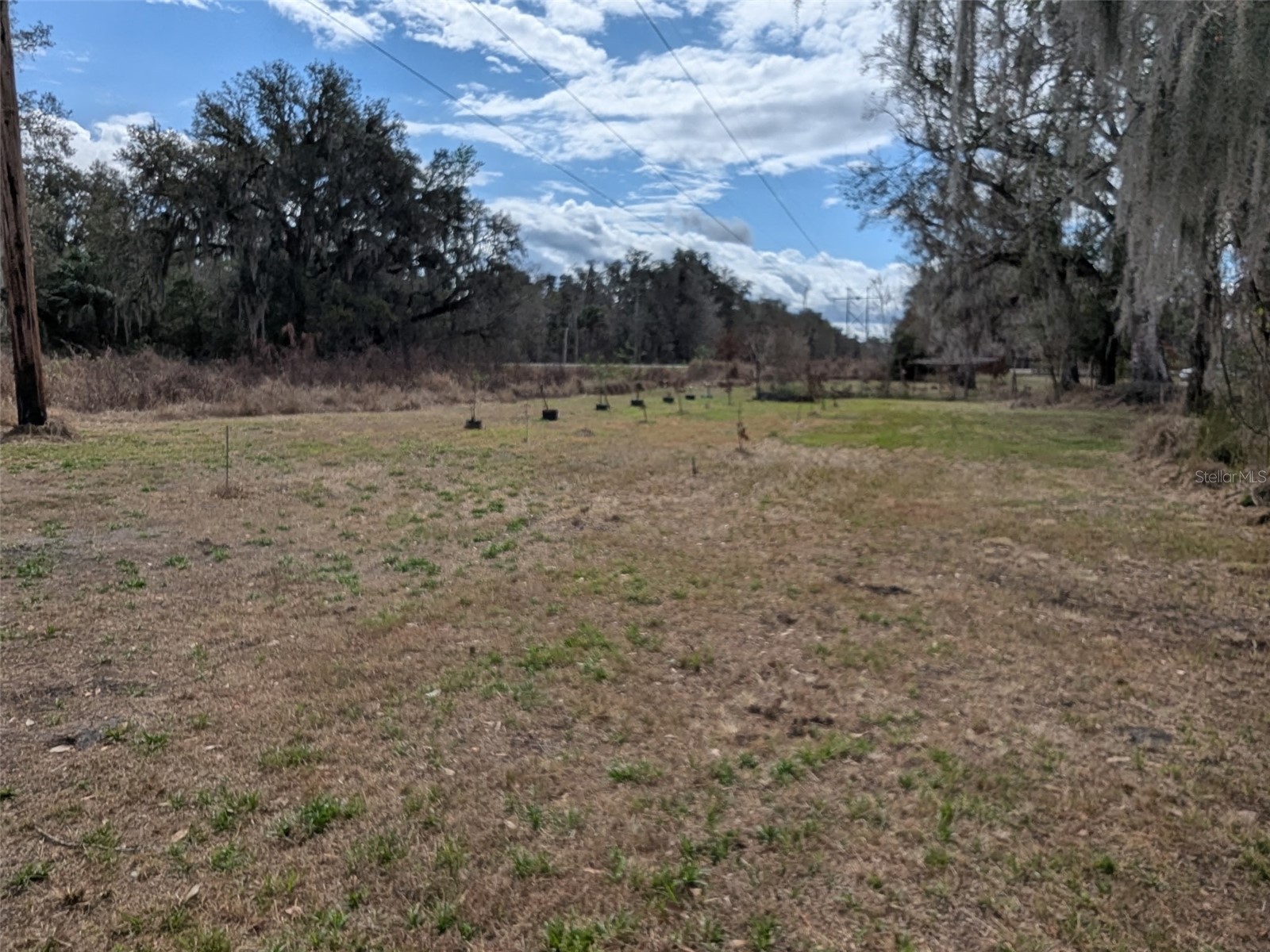 1142 Doc Coil Road Bowling Green FL 33834 TB8483190 image20