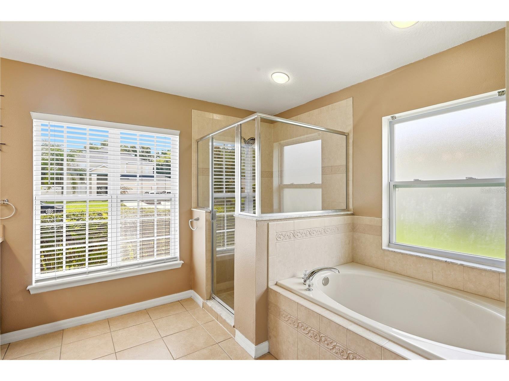1142 Dunbrooke Street Winter Garden FL 34787 O6417527 image32