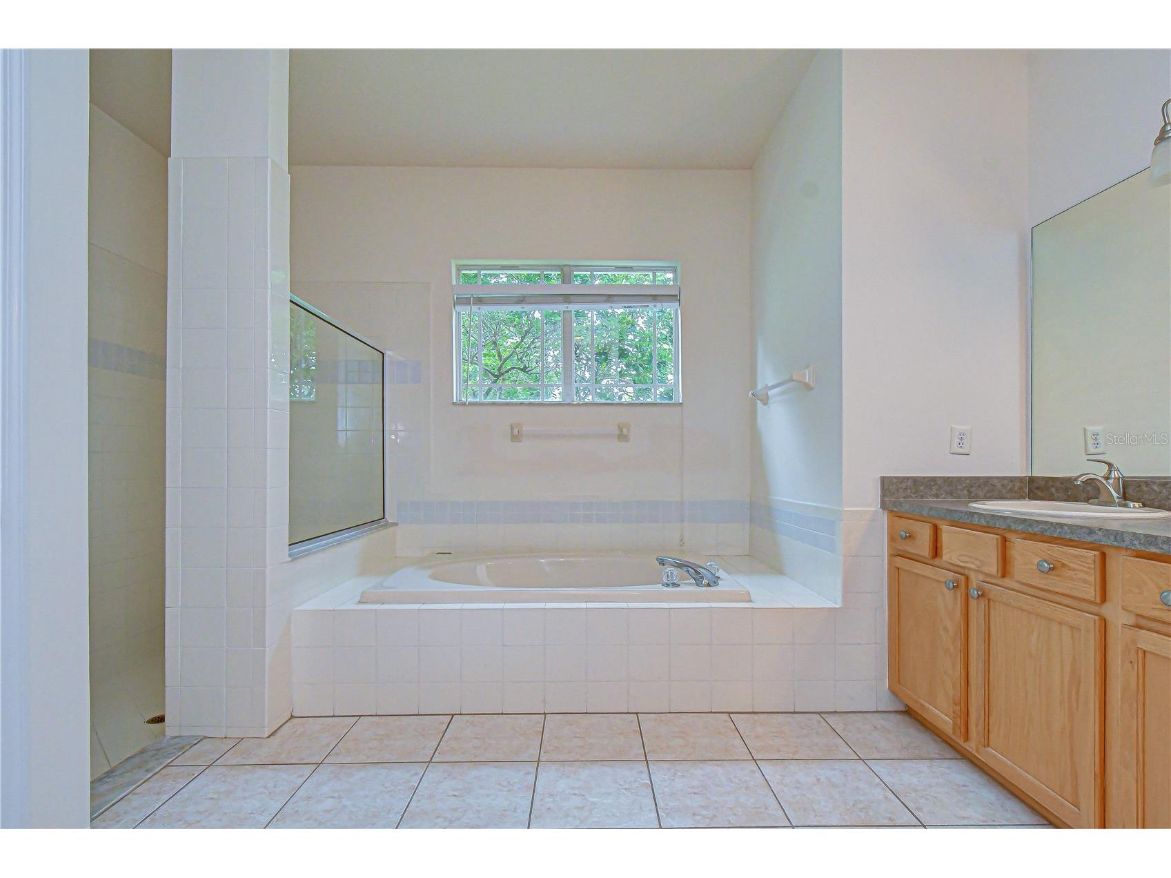 1142 Lumsden Trace Circle Valrico FL 33594 TB8508677 image17