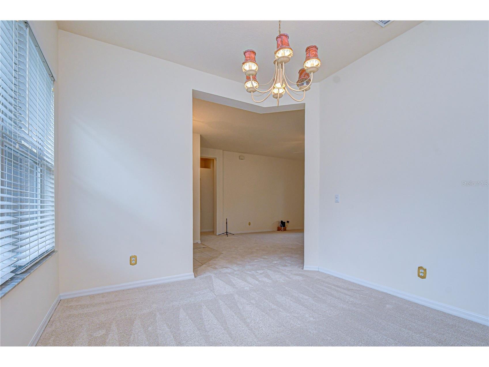 1142 Lumsden Trace Circle Valrico FL 33594 TB8508677 image5
