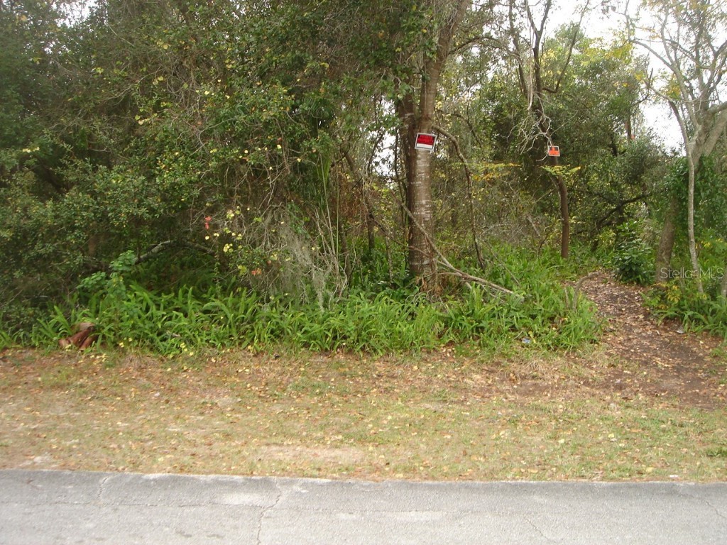 1142 Lyric Drive Deltona FL 32738 V4934090 image1