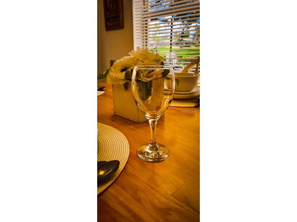 1142 Mariner Cay Drive Haines City FL 33844 TB8378540 image20