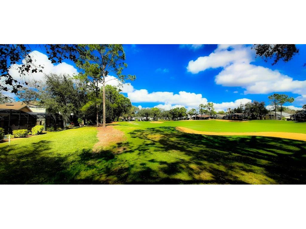 1142 Mariner Cay Drive Haines City FL 33844 TB8378540 image41