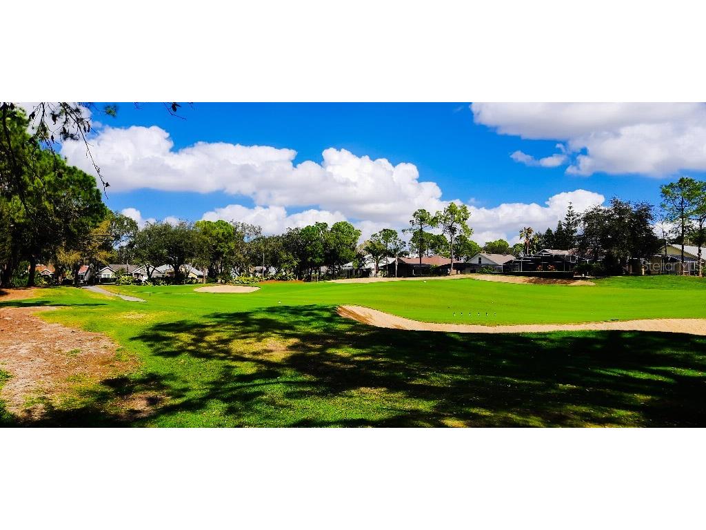 1142 Mariner Cay Drive Haines City FL 33844 TB8378540 image42