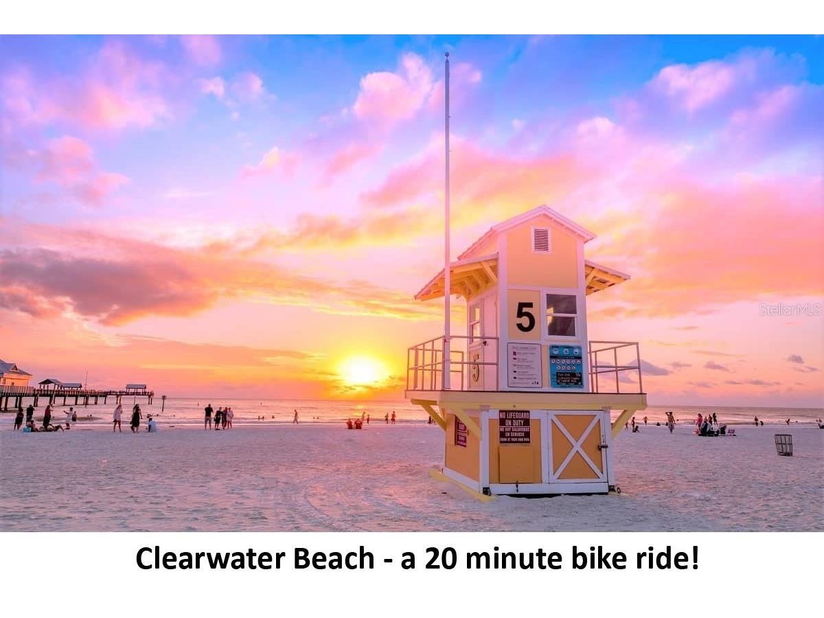 1142 Sunset Point Road Clearwater FL 33755 TB8526687 image9