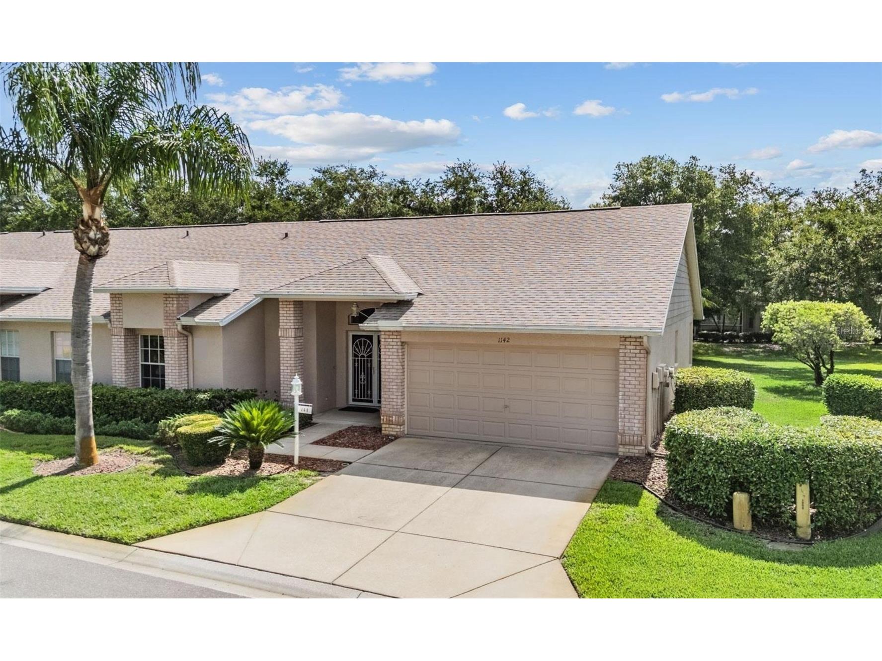 1142 Sweet Jasmine Drive Trinity FL 34655 W7885766 image1