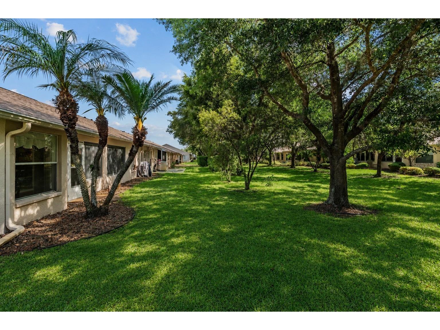 1142 Sweet Jasmine Drive Trinity FL 34655 W7885766 image20