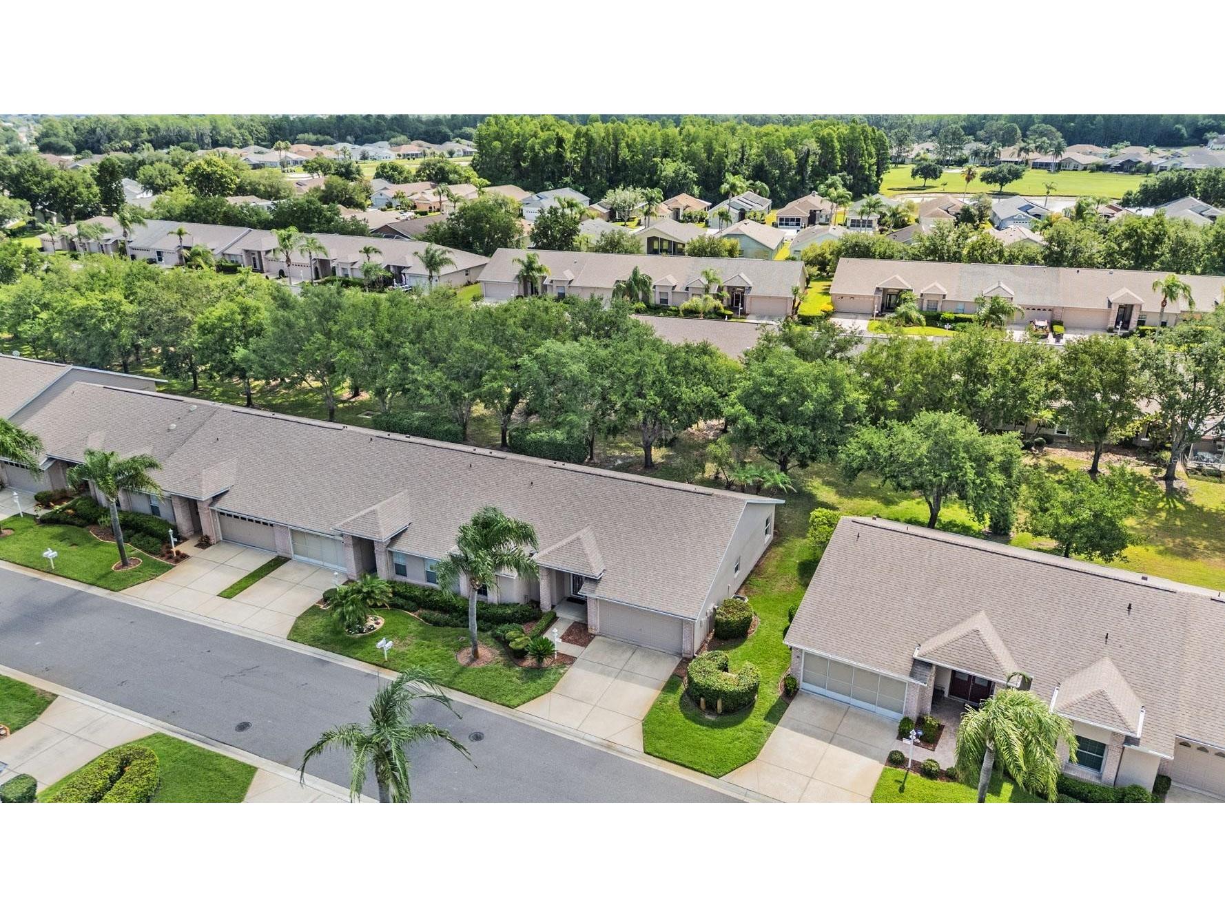 1142 Sweet Jasmine Drive Trinity FL 34655 W7885766 image21
