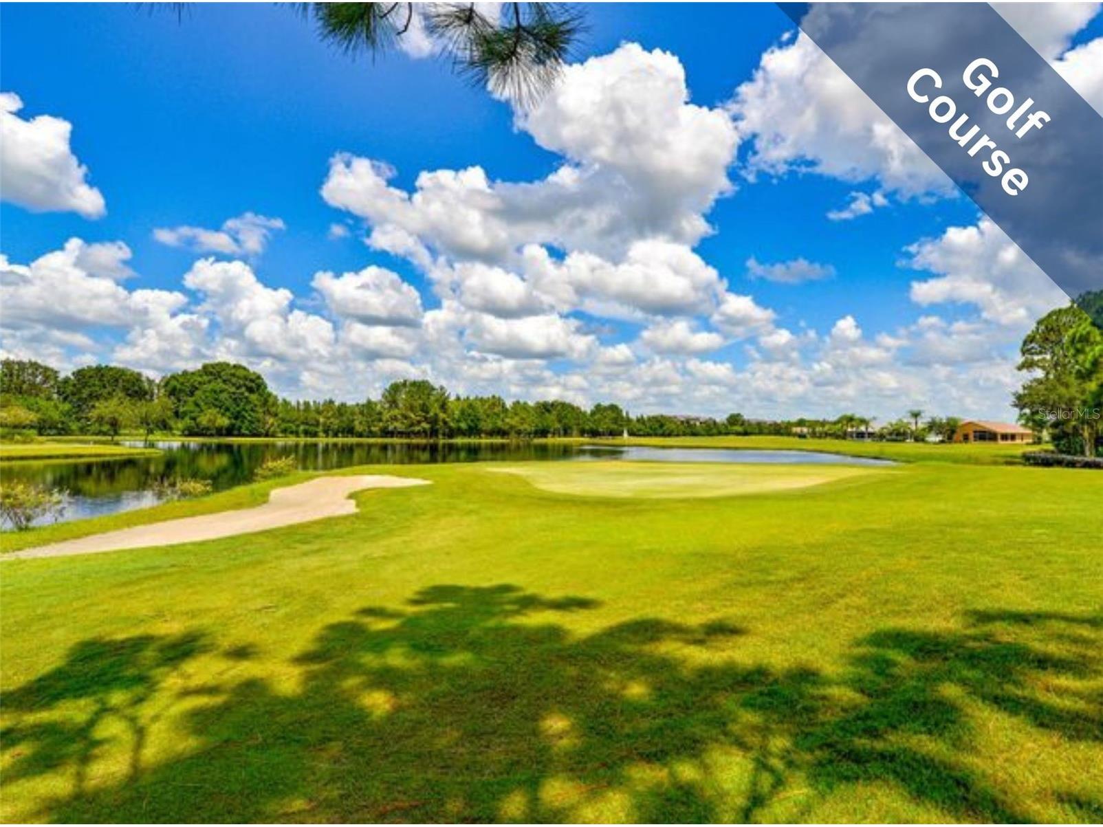 1142 Sweet Jasmine Drive Trinity FL 34655 W7885766 image30