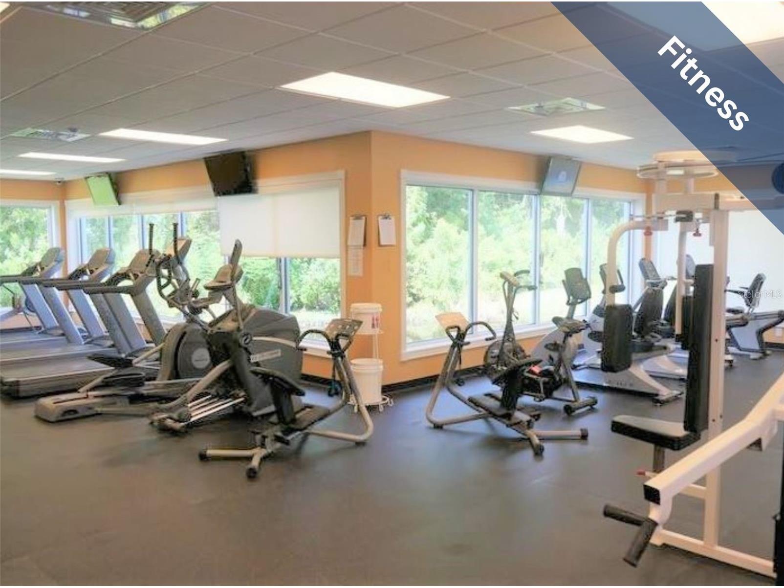 1142 Sweet Jasmine Drive Trinity FL 34655 W7885766 image32
