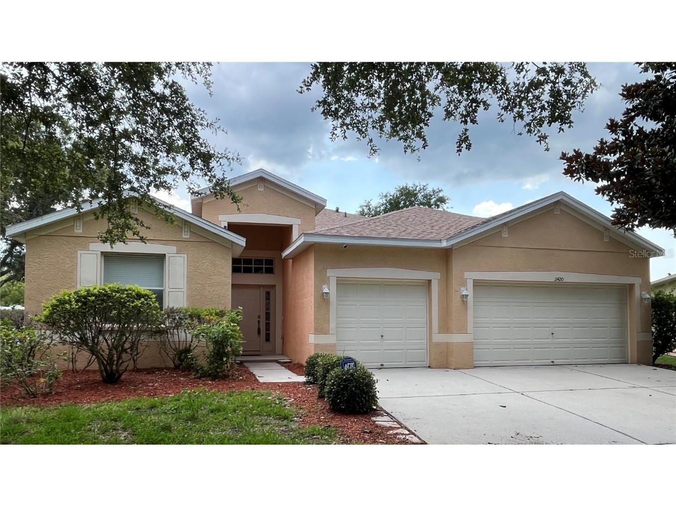 11420 Bridge Pine Drive Riverview FL 33569 TB8389564 image1