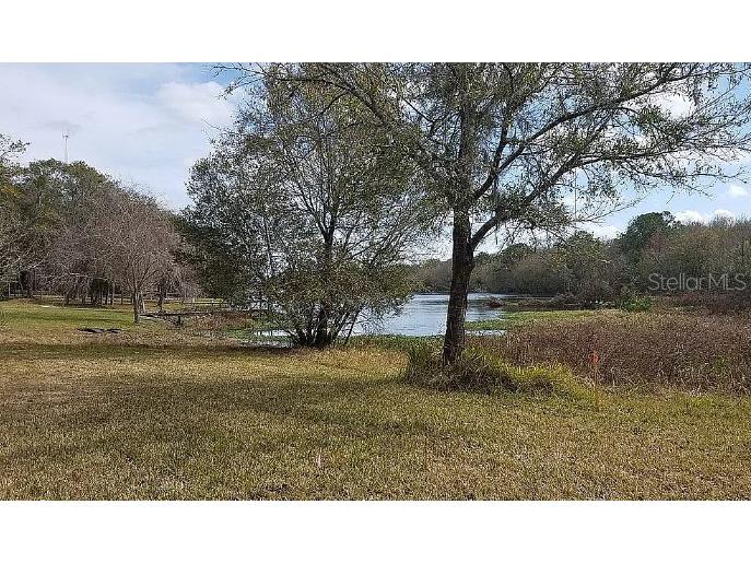 11420 Donney Moor Drive Riverview FL 33569 - LAKE GRADY T3436922 image1
