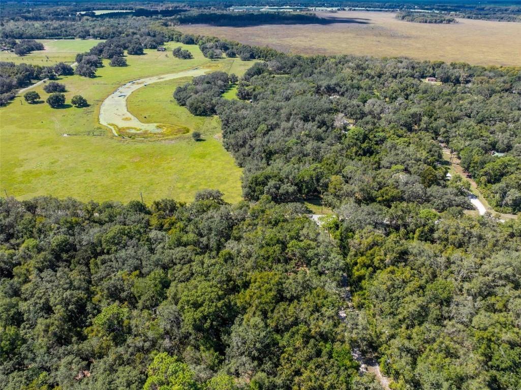 11420 E Steamboat Drive Floral City FL 34436 TB8435606 image10