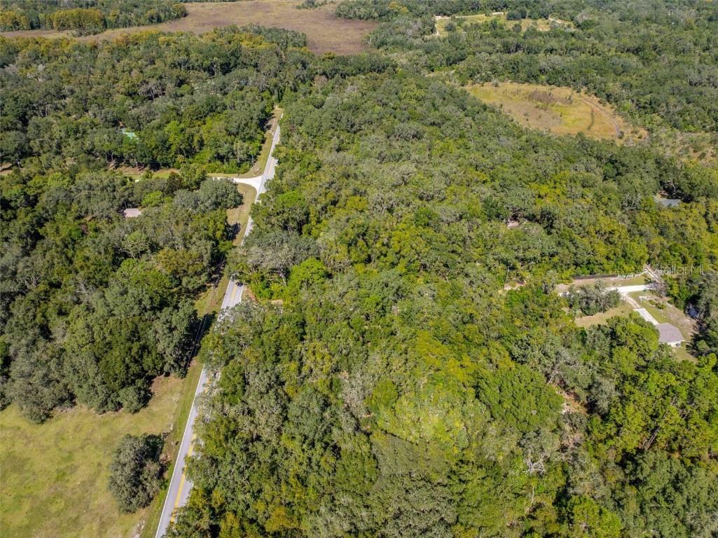 11420 E Steamboat Drive Floral City FL 34436 TB8435606 image11