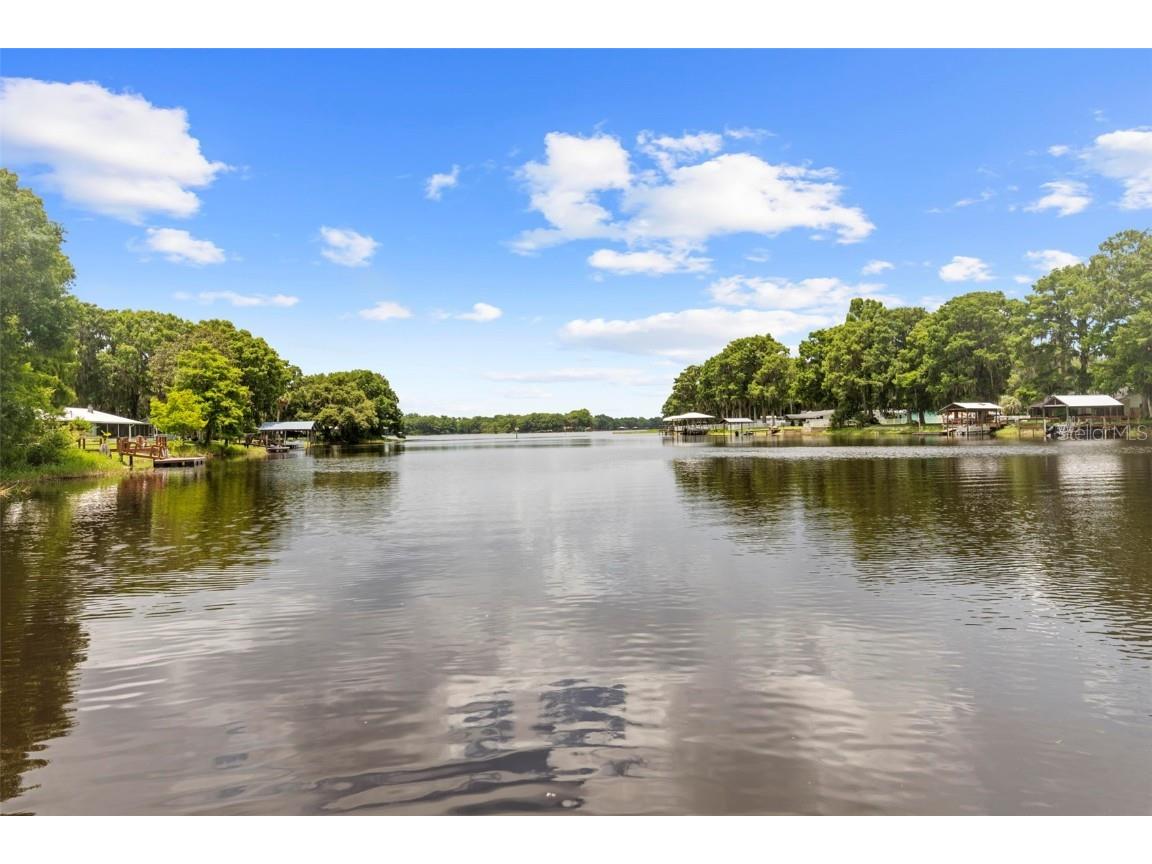 11420 E Steamboat Drive Floral City FL 34436 TB8435606 image16