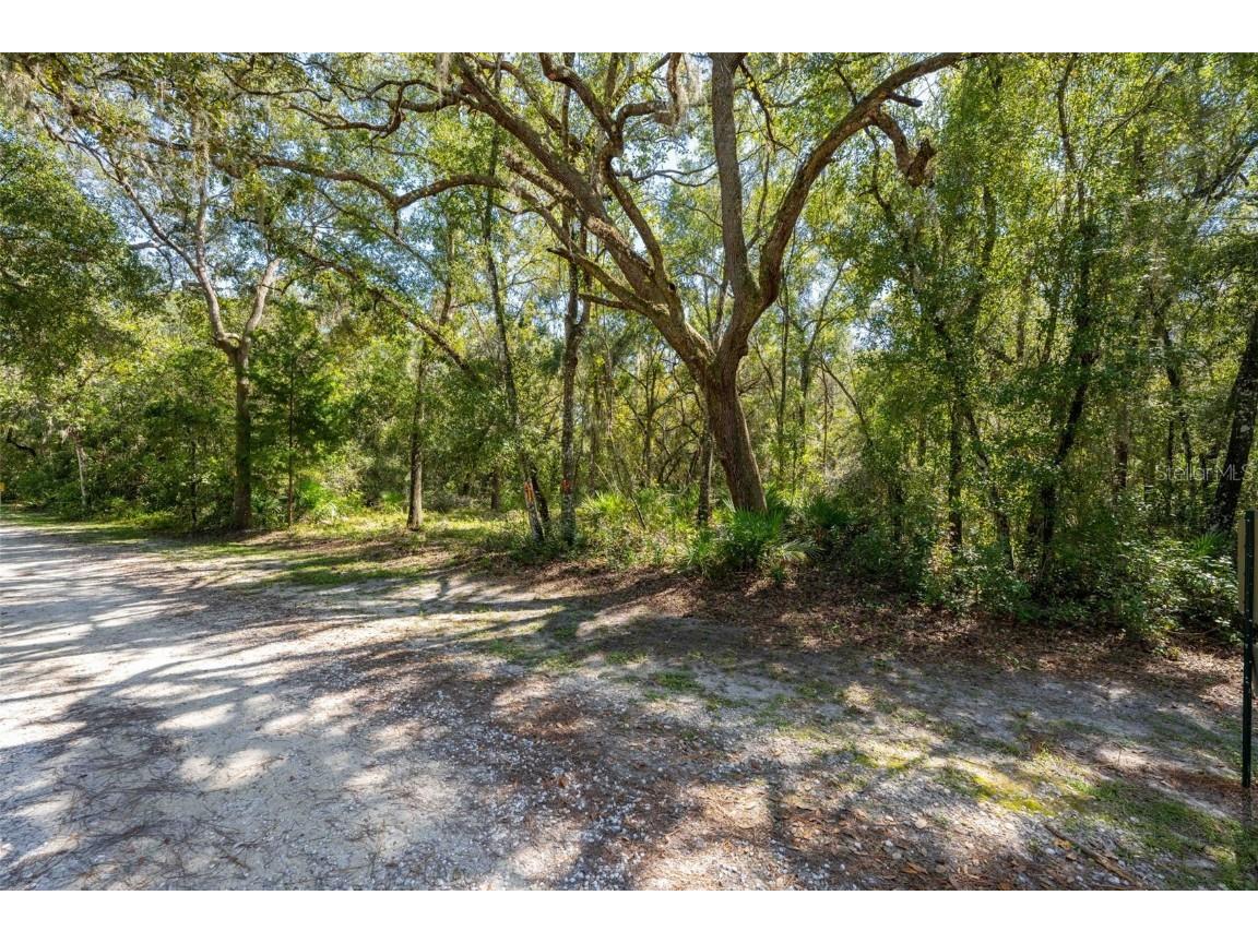 11420 E Steamboat Drive Floral City FL 34436 TB8435606 image26