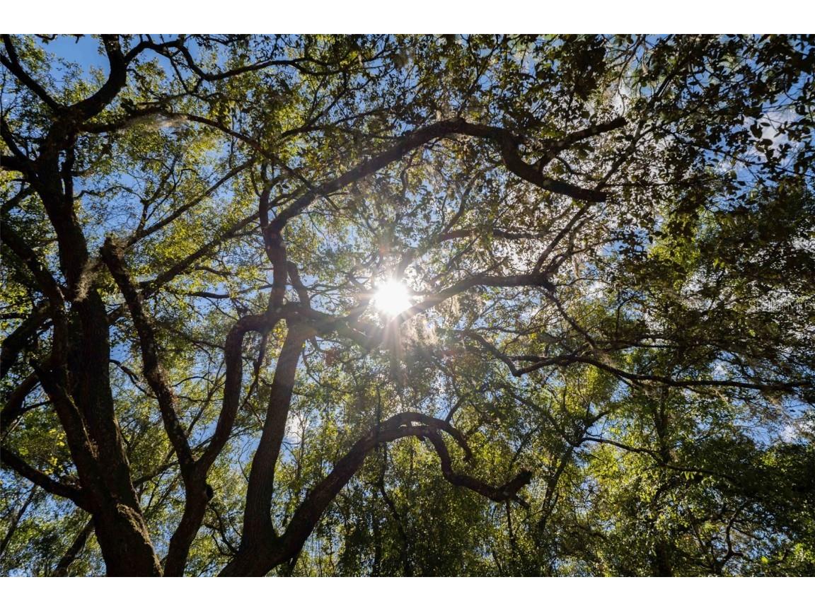 11420 E Steamboat Drive Floral City FL 34436 TB8435606 image27