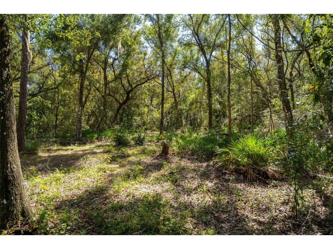 11420 E Steamboat Drive Floral City FL 34436 TB8435606 image28