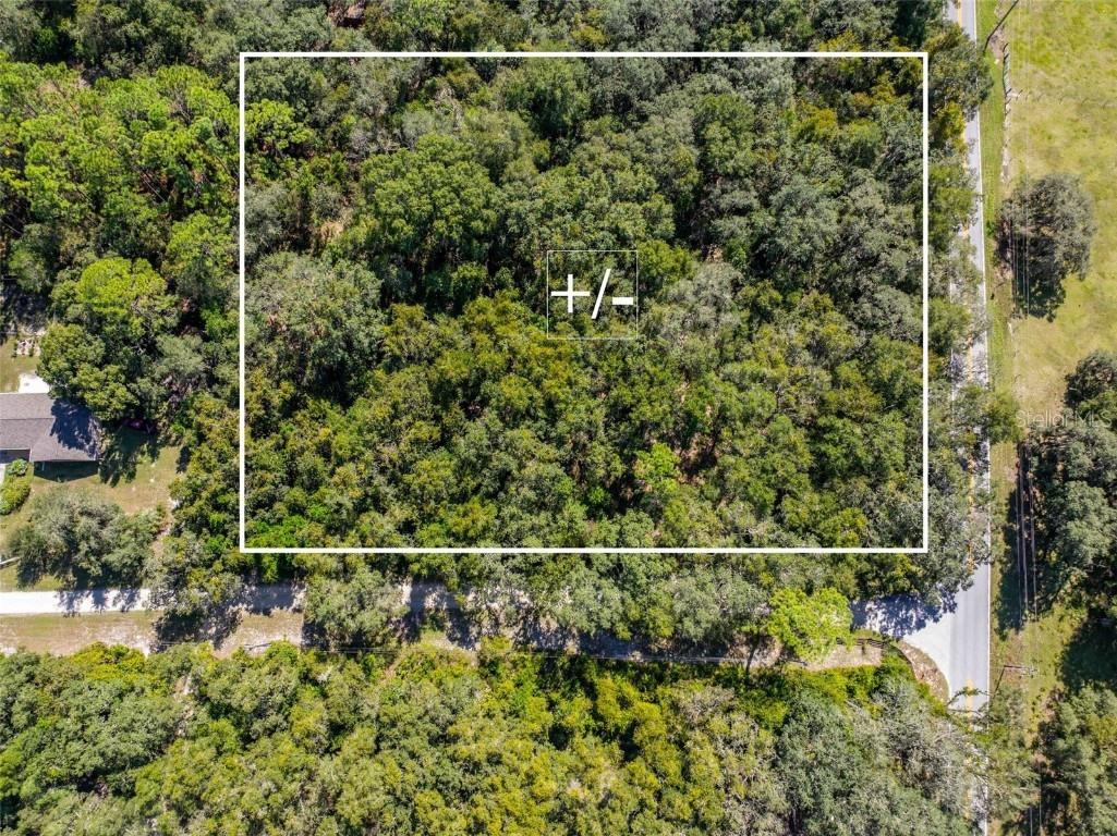 11420 E Steamboat Drive Floral City FL 34436 TB8435606 image8