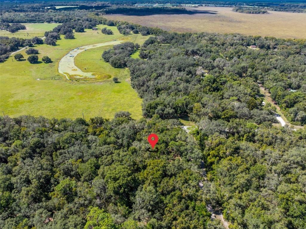 11420 E Steamboat Drive Floral City FL 34436 TB8435606 image9