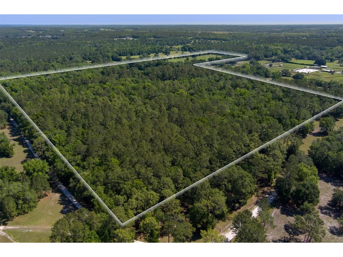 11420 NW 110th Avenue Reddick FL 32686 OM699513 image19