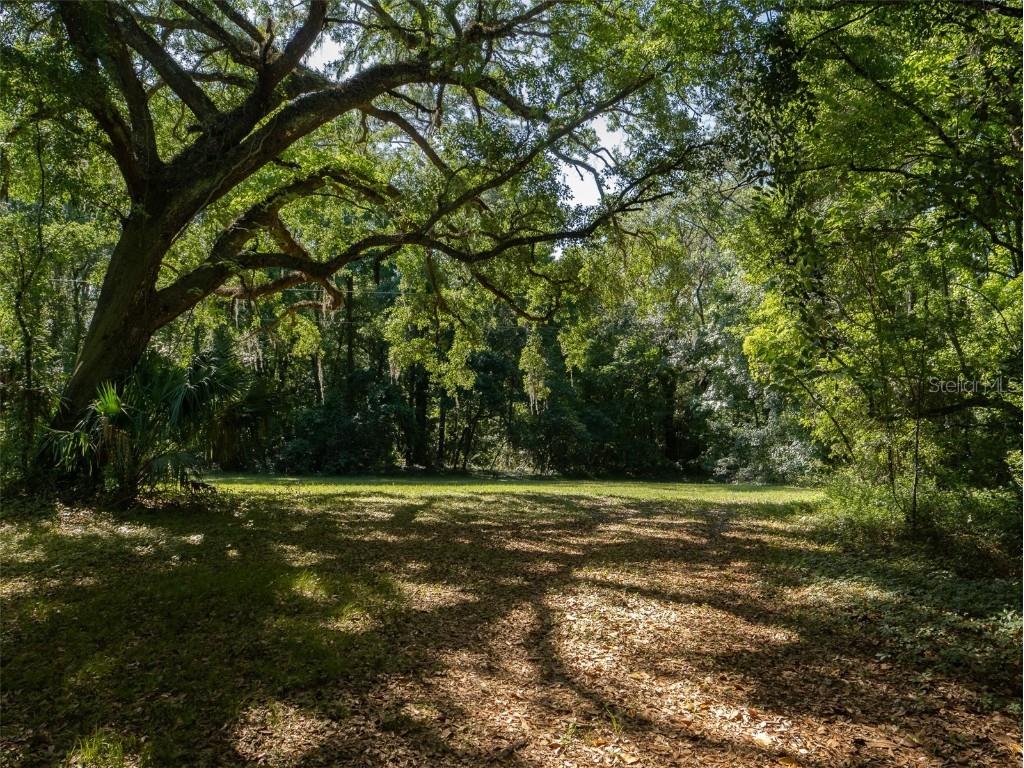 11420 NW 110th Avenue Reddick FL 32686 OM699513 image6