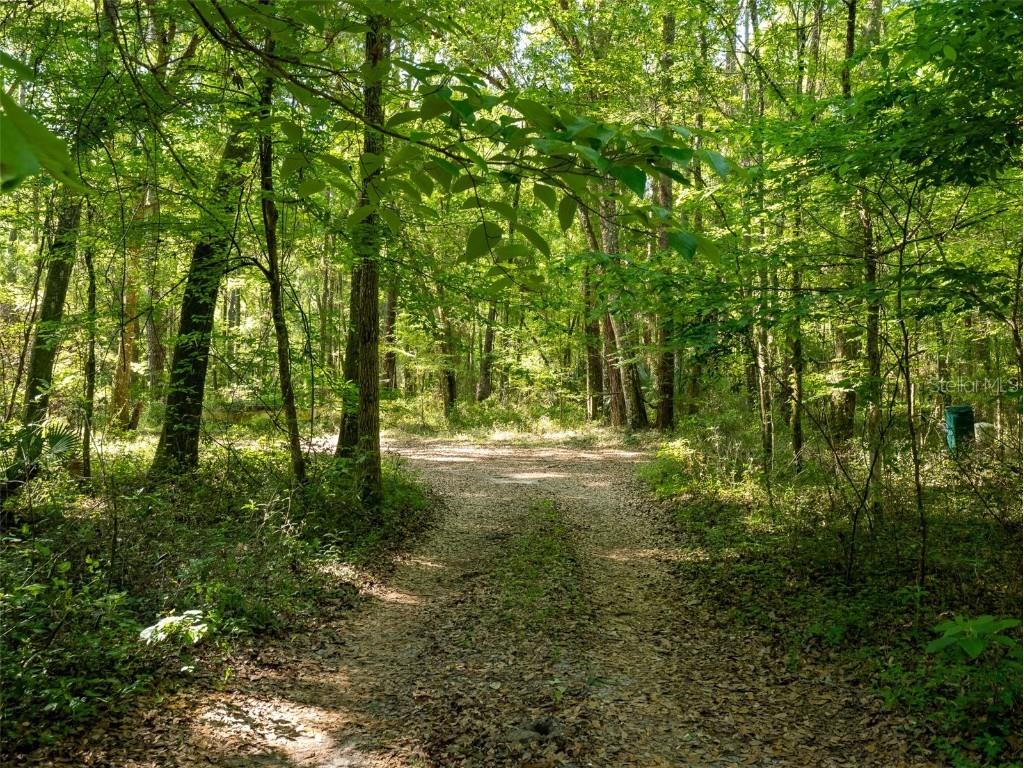 11420 NW 110th Avenue Reddick FL 32686 OM699513 image7