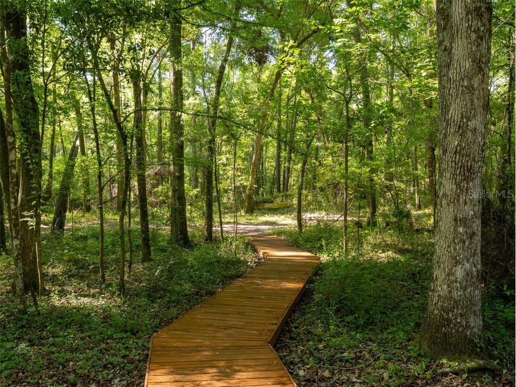 11420 NW 110th Avenue Reddick FL 32686 OM699513 image8