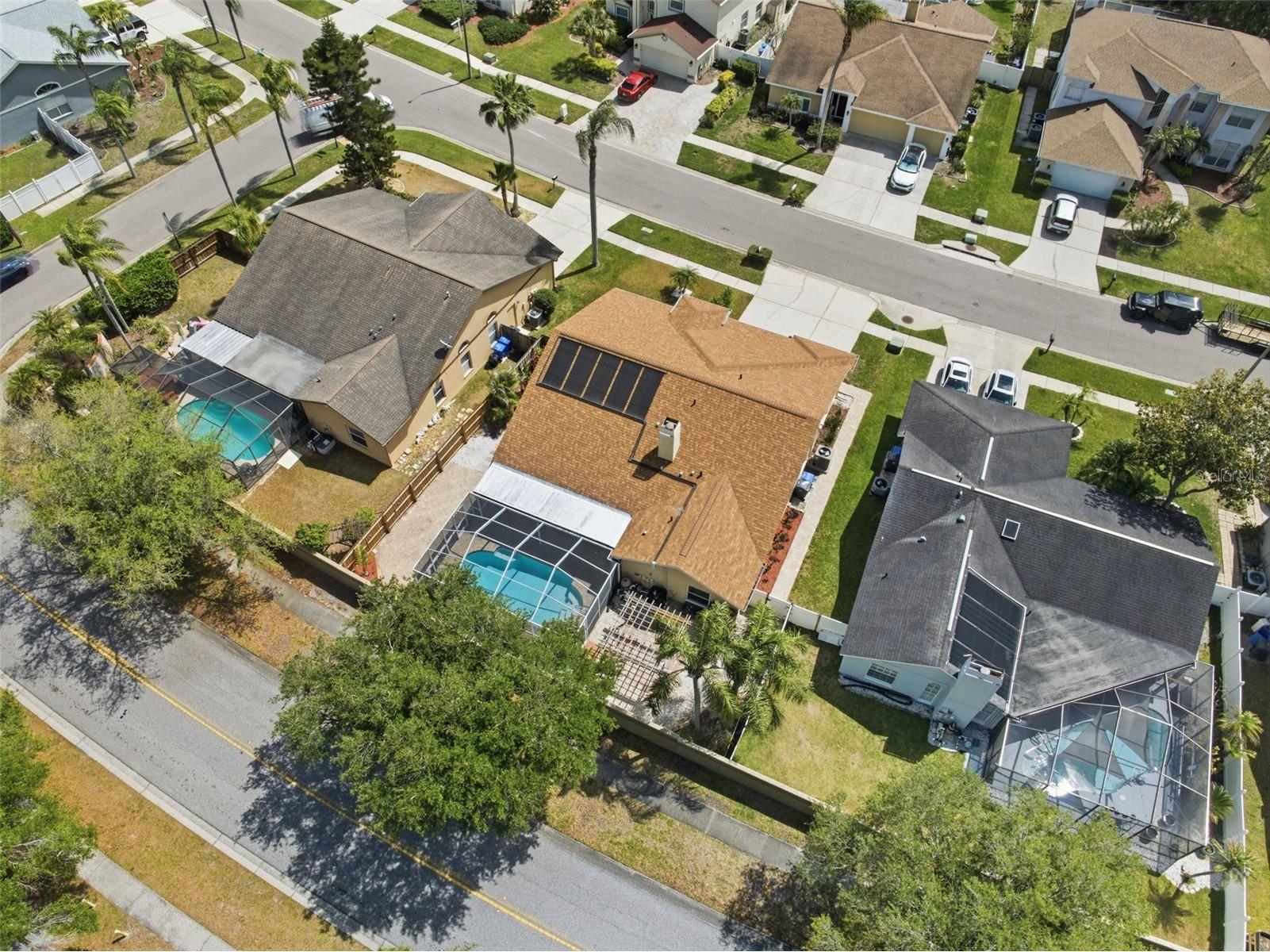 11421 Glenmont Drive Tampa FL 33635 W7884554 image43