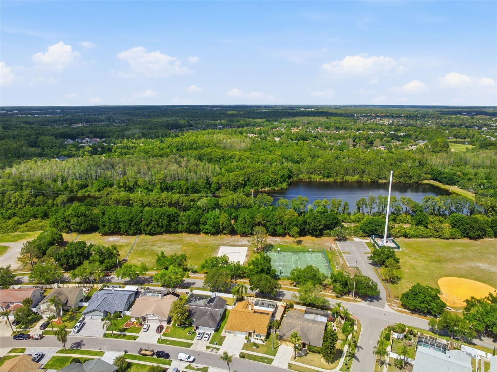 11421 Glenmont Drive Tampa FL 33635 W7884554 image44