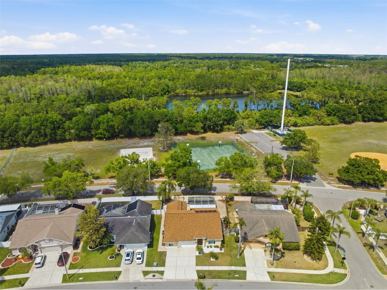 11421 Glenmont Drive Tampa FL 33635 W7884554 image63