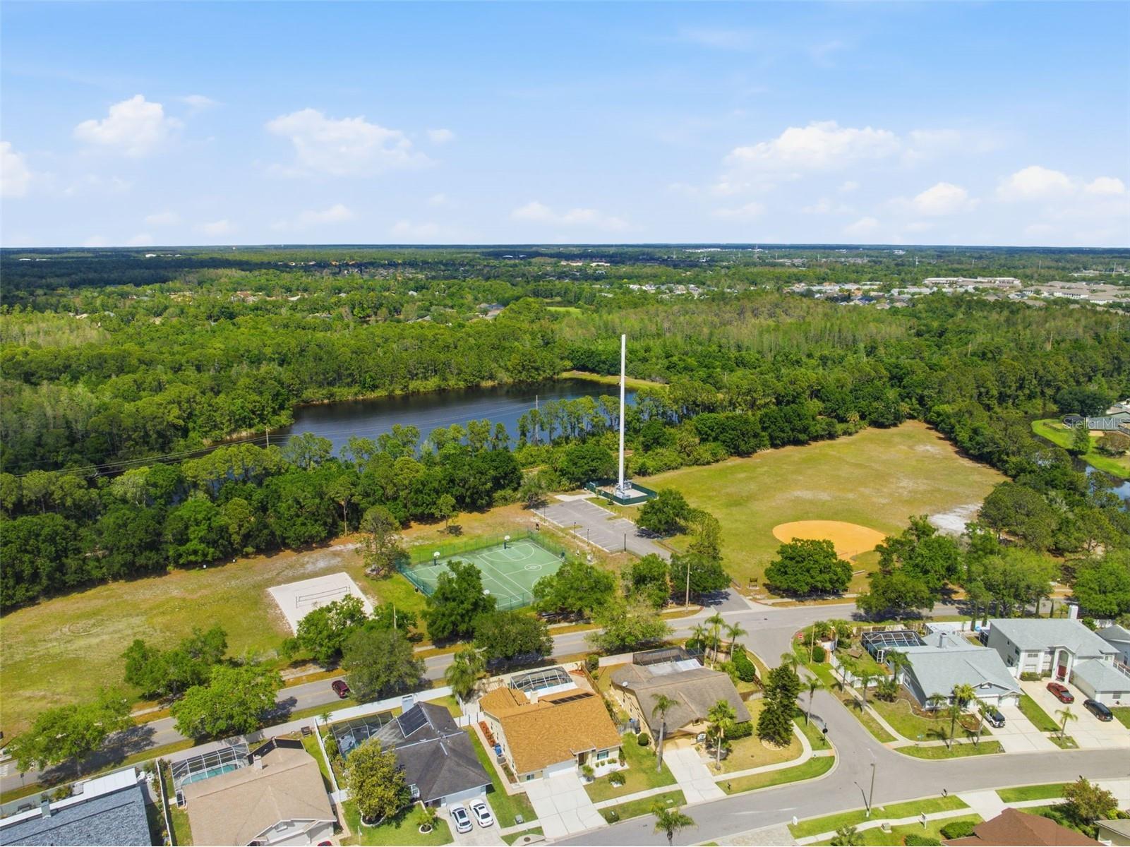 11421 Glenmont Drive Tampa FL 33635 W7884554 image65