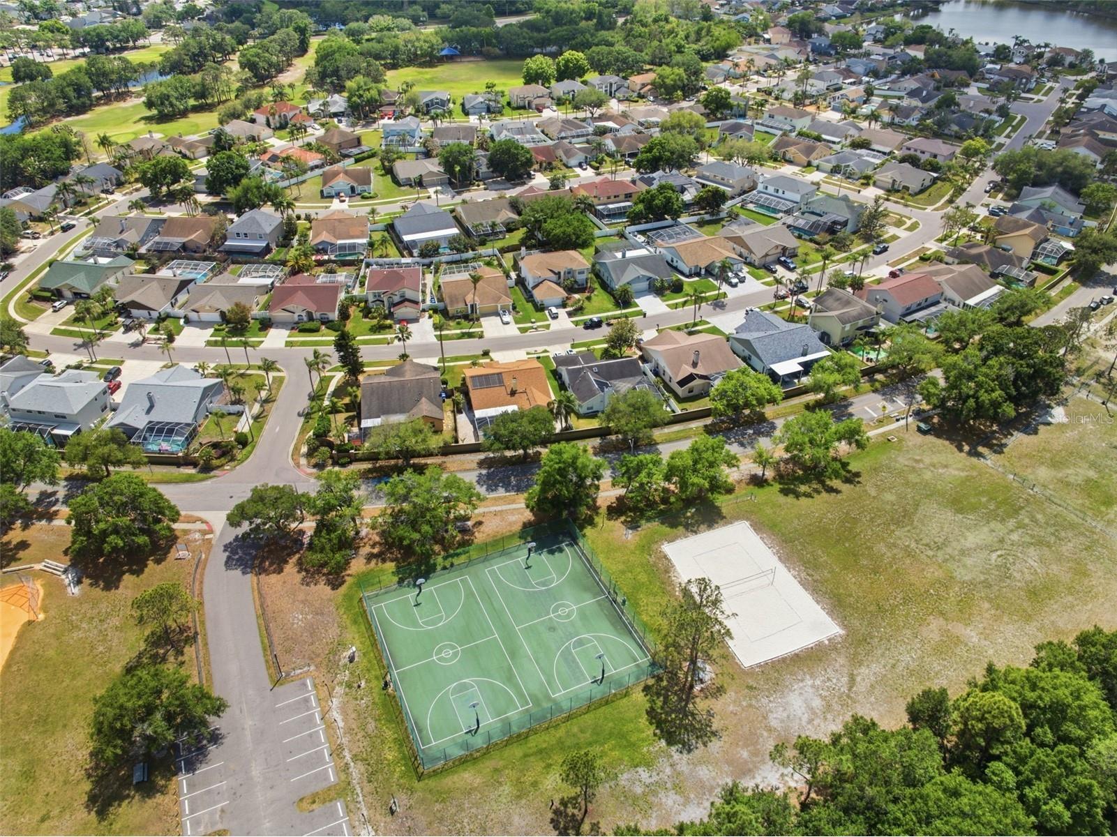 11421 Glenmont Drive Tampa FL 33635 W7884554 image71