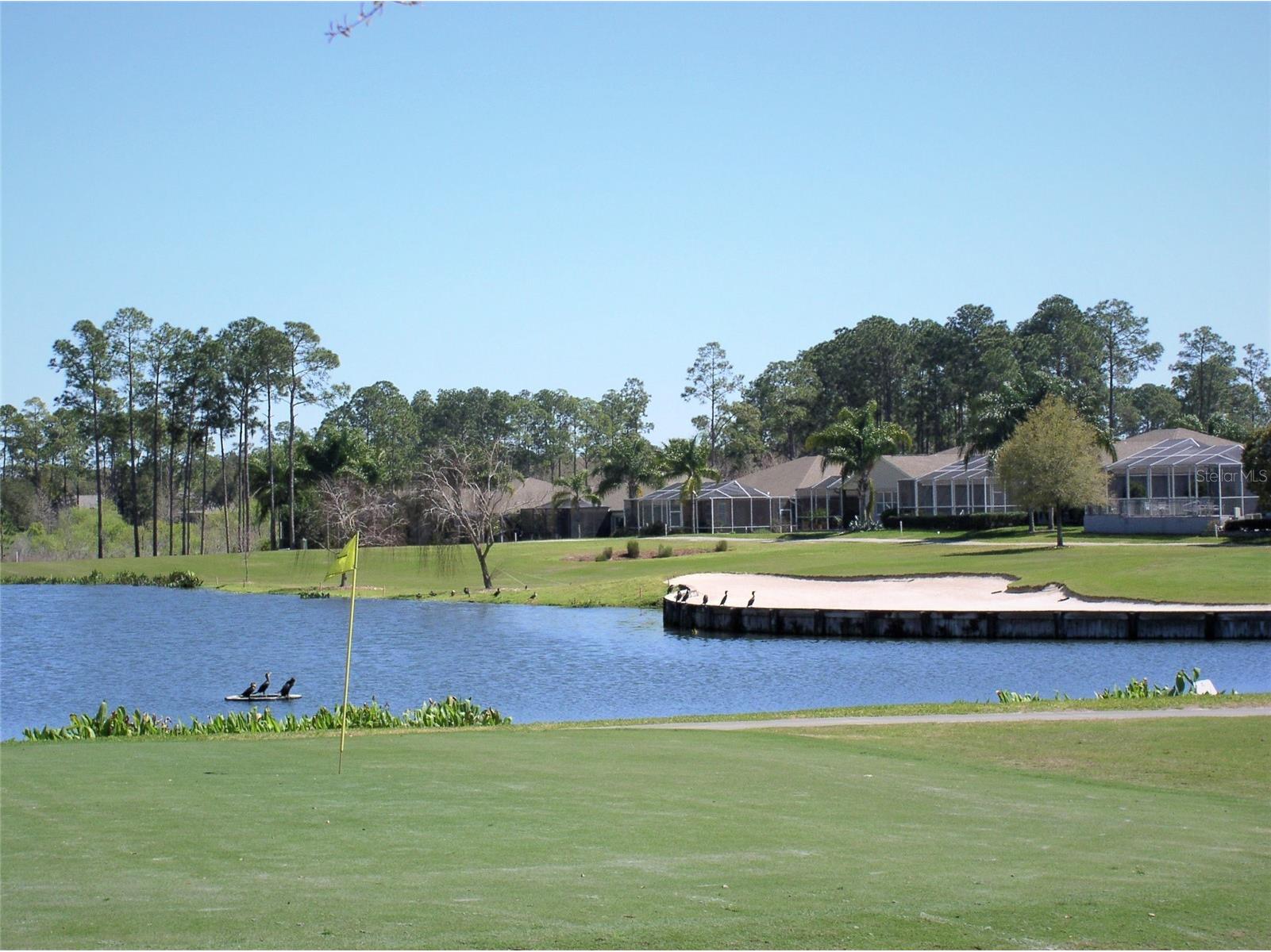 11422 Heritage Point Drive Hudson FL 34667 TB8456121 image45